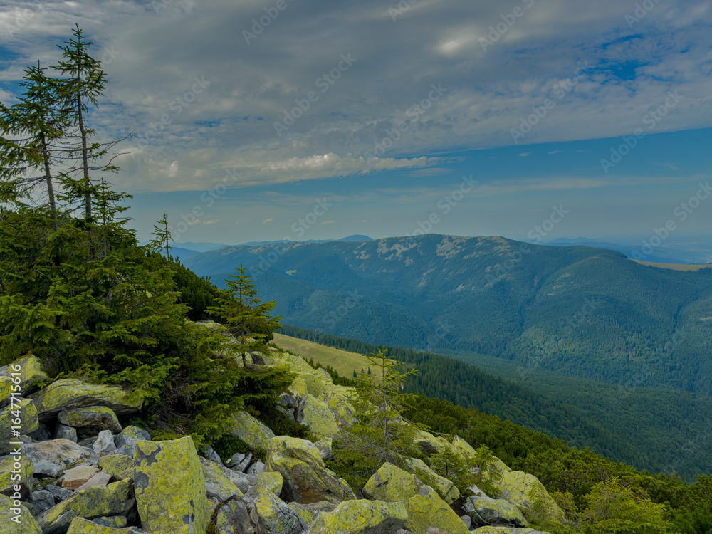 Obraz premium Sunny Carpathian peaks: green valleys and crystal clear skies.