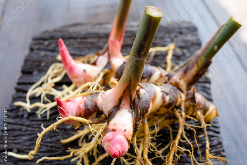Galangal,herb,spices