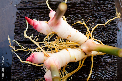 Galangal,herb,spices