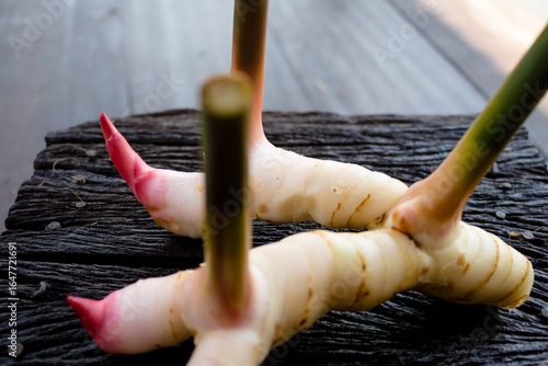 Galangal,herb,spices