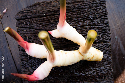 Galangal,herb,spices