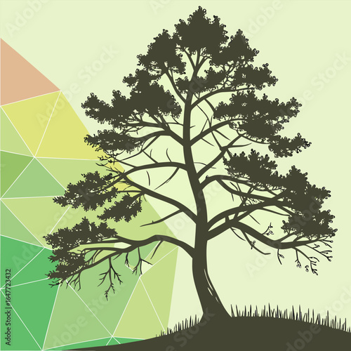Evergreen” vector icon