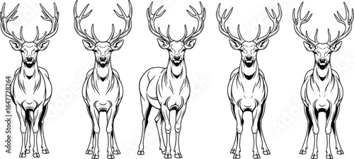 Deer with antlers vector illustration, wildlife animal drawing, symmetrical stag front view, forest creature outline art, printable design for decor