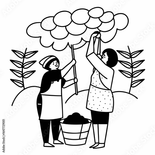 Farmers harvesting fruit from a tree and putting it in a bucket isolated on white background