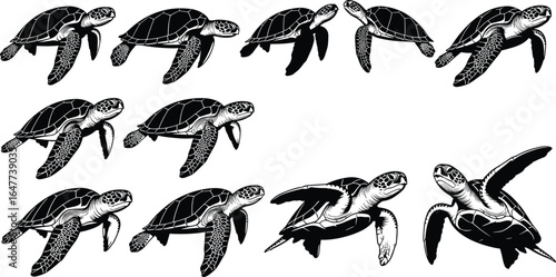 Sea turtle swimming vector collection, marine animal illustration set, ocean wildlife silhouette design, aquatic nature artwork for animal lover or decor