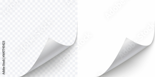 Curled page corner isolated on transparent and white background. Blank curve paper edge, bent sheet, note angle with realistic shadow. Vector rolled up stickers, peel banners