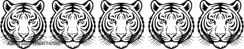 Tiger head vector illustration in black and white, fierce jungle animal face design, tribal tattoo style, perfect for logo, art, and print