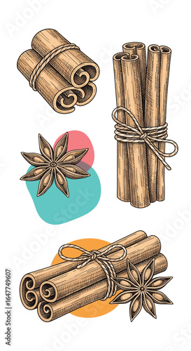 Hand drawn spice collection featuring cinnamon sticks and star anise with abstract color blobs for culinary design and seasonal themes
