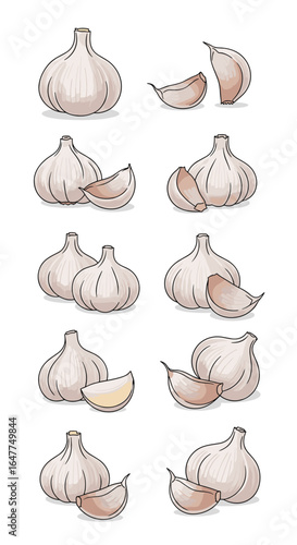 A collection of fresh garlic bulbs and cloves perfect for culinary creations