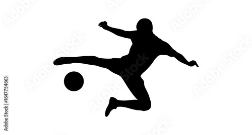 A powerful silhouette of a soccer player mid-kick, against a plain white background.