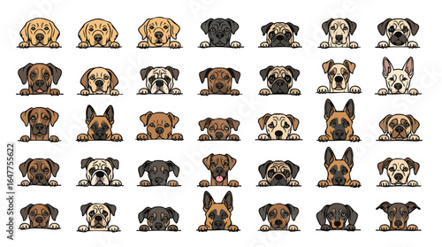 Diverse Collection of Dog Faces Peeking Over an Edge dogs puppies.