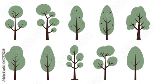 A collection of various green trees with brown trunks and branches