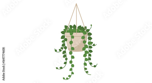 a hanging plant with long green vines in a beige pot