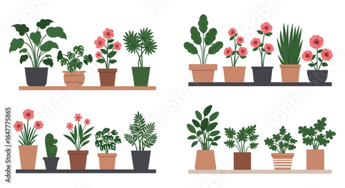 Collection of potted plants and flowers on shelves in a simple style