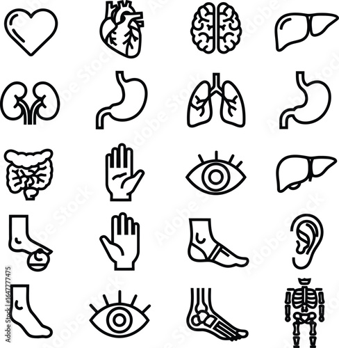 Hand drawn vector icon set featuring a collection of black doodle arrows and medical food symbols in a sketch illustration design