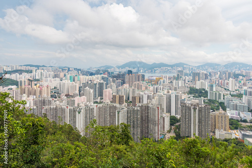 Fototapeta View of Hong Kong and Kowloon from Lion Rock Head