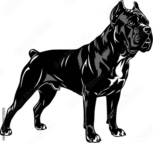 Cane Corso Dog Black SVG Vector Outline
