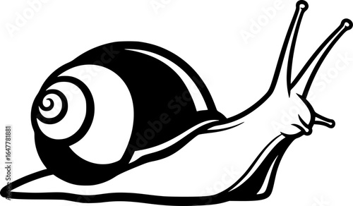 Black Snail Vector Outline SVG
