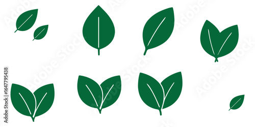 Leaf icon. Two stylized green leaves representing nature and freshness vector illustration. Eco-friendly growth and organic symbol. Sustainability and environmental sign. Natural pictogram.