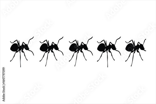 Row of ants marching in a line silhouette
