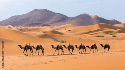 Desert caravan