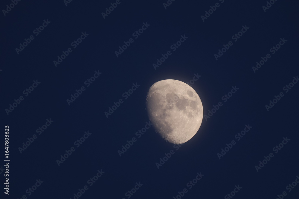 Obraz premium Lune à l'heure bleue