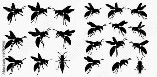A collection of black wasp silhouettes shown from multiple angles, including flying, standing, and top-down views.