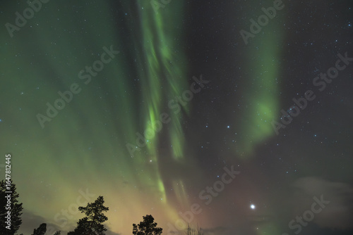 Northern lights light up the entire sky with their ever-changing shapes, painting it in vibrant green, pink, and purple ribbons. Norway