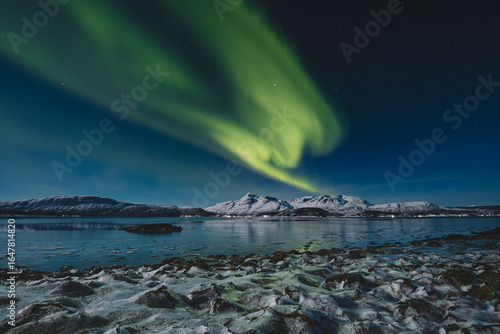 Aurora Borealis glows above Norway Malangen Fjord in Troms, painting the starry night with green light. Snow-covered peaks and icy shores create a true Arctic dreamscape