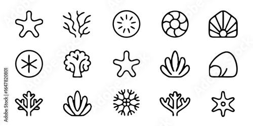 Collection of marine life outlines isolated on white background, featuring delicate drawings of sea stars, shells, and corals for oceanthemed designs, aquatic illustrations, and nature projects
