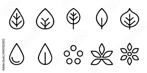 Set of minimalist leaf icons isolated on white background featuring various designs such as water drop shapes, botanical elements, and floral patterns for natural and organic themes