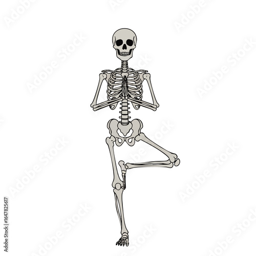A stylized skeleton performing a yoga tree pose, detailed anatomical structure.