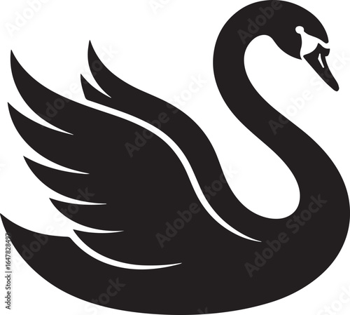 Black swan elegant curves detailed wings bird waterbird