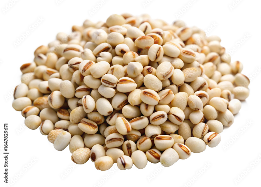 Fototapeta premium Job’s tears seeds isolated on white background png