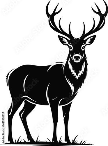 Majestic stag with large antlers standing deer wildlife