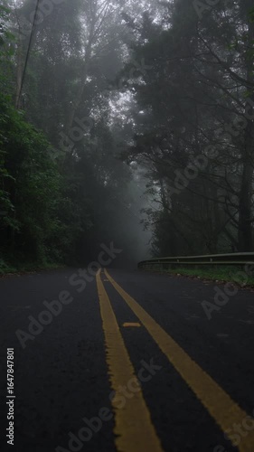 Centerline perspective into a foggy tunnel of trees