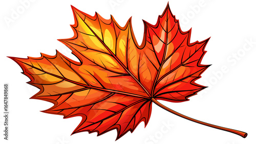Red maple leaf close up isolated on black background autumn fall season on
