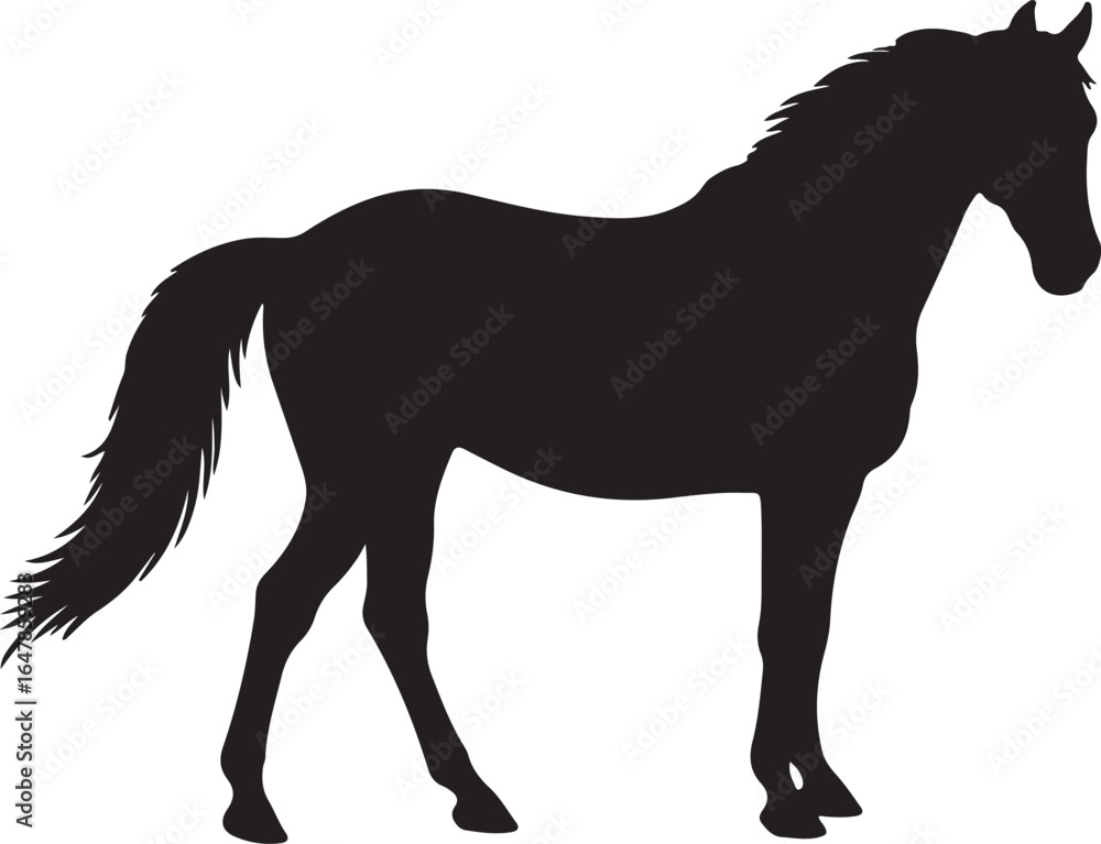 Obraz premium horse vector illustration