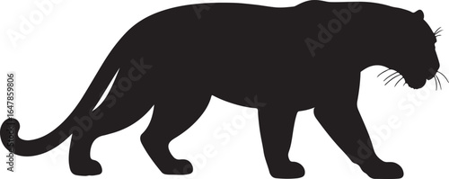 panther in silhouette on white