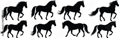 Horse silhouettes in various running poses, black equestrian design, galloping animal icons, vector illustration, wild mustang art, graceful stallion graphics