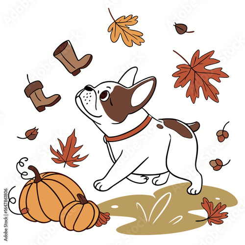 Cute Curious French Bulldog, accessorized with splashing in puddles, in a Autumn world – Autumn Leaves palette vector