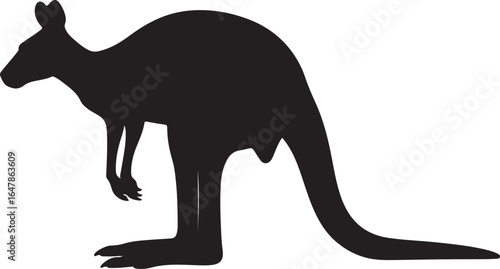 Kangaroo in silhouette on white