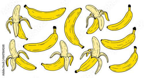 Set of bananas isolated on transparent or white background. Vector illustration of sweet, fresh, and ripe tropical fruit. Open, peeled, and whole banana illustrations.
