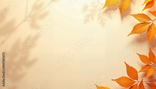 Autumn leaves on light background creating soft shadows  