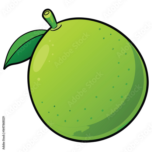 Cartoon vector illustration of a fresh green lime fruit with a leaf, isolated on a white background.