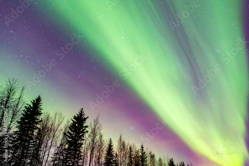 Foto An aurora is a natural light display in Earth's sky