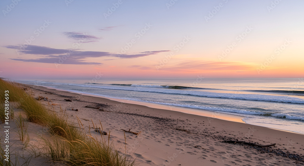 Obraz premium Secluded shoreline with ocean view and soft pastel sky.
