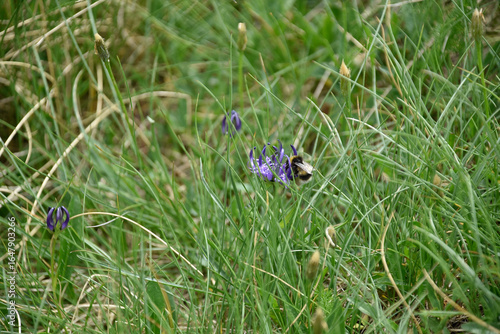Photos of the landscape I saw on a trip through the mountains of Andorra, some shots of a lake and photos of waterfalls