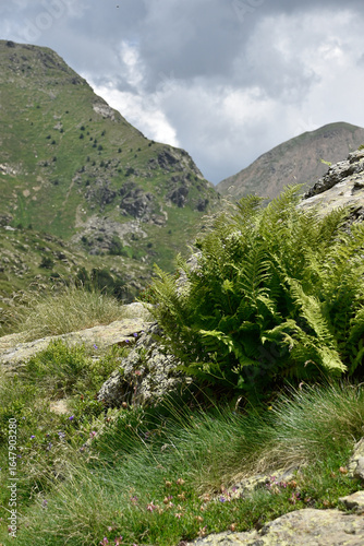 Photos of the landscape I saw on a trip through the mountains of Andorra, some shots of a lake and photos of waterfalls