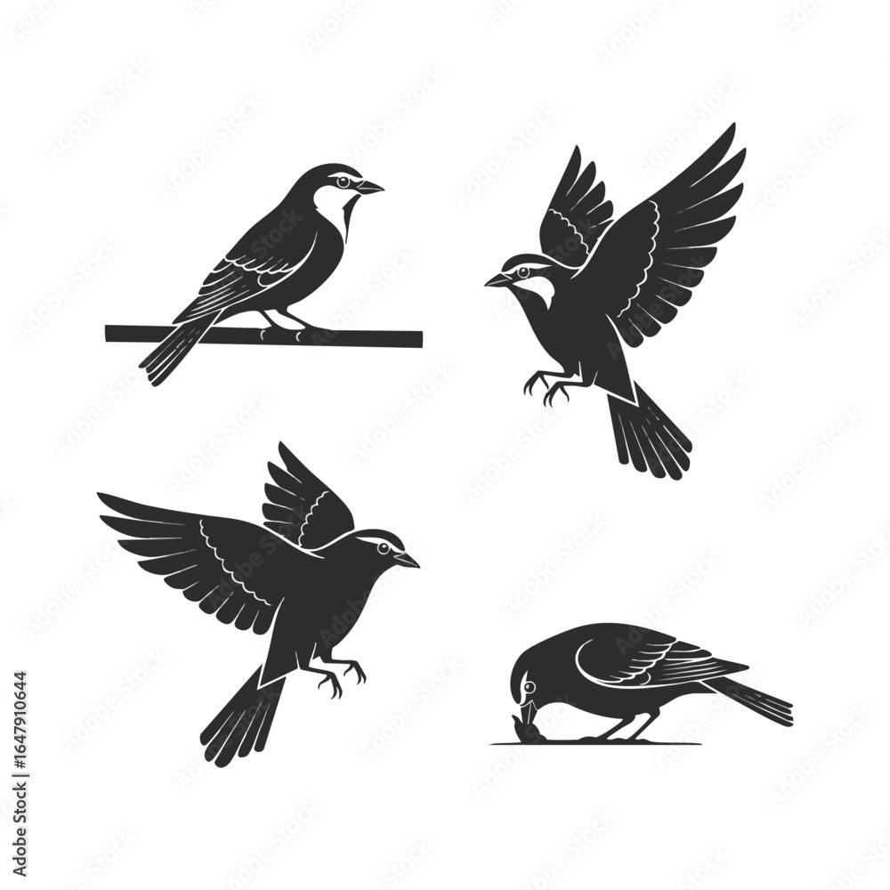 Obraz premium Silhouettes of birds perched and in flight.